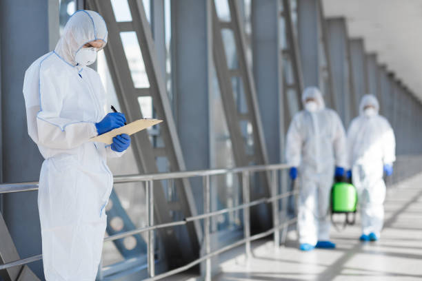 Trusted Dover, NH Mold Removal Experts