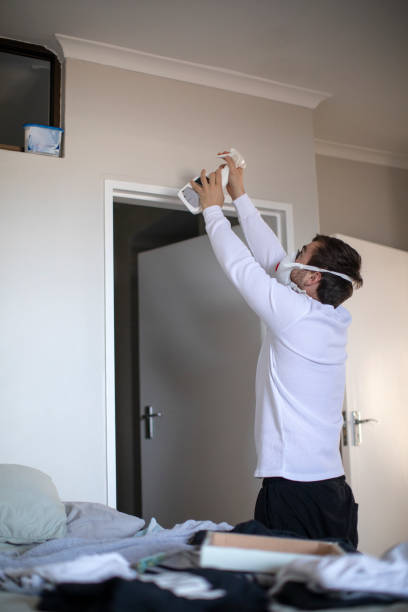 Best Black Mold Removal  in Dover, NH