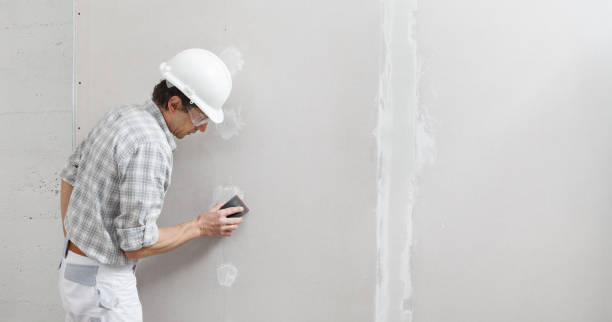 Best Forensic Mold Investigation  in Dover, NH