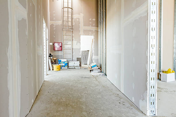 Best Mold-Related Health Consultation  in Dover, NH